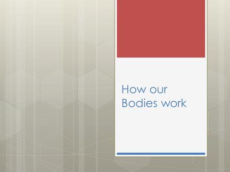 How our Bodies work. Heart Rate Your heart works like a pump, it has a contracting action followed by a relaxing action Each time your heart beats, it.