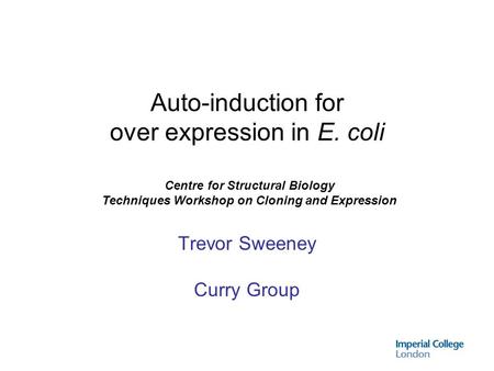 Trevor Sweeney Curry Group