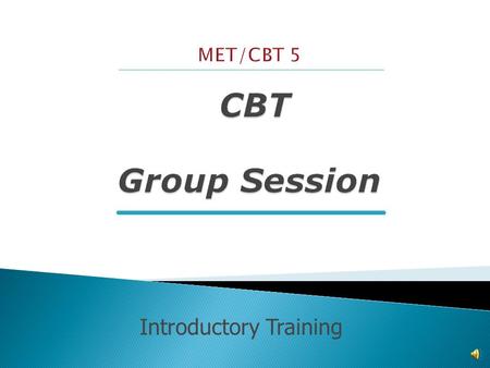 Introductory Training Intros & Rapport Building Review of Progress Introduction & Teaching of Coping Skill In-Session Practice Exercise Assign Real-Life.