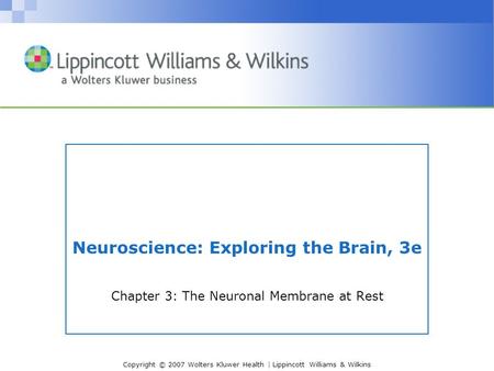 Neuroscience: Exploring the Brain, 3e