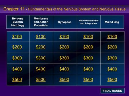 Chapter 11 - Fundamentals of the Nervous System and Nervous Tissue