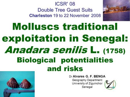 Molluscs traditional exploitation in Senegal: Anadara senilis L. (1758) Biological potentialities and risks Dr Alvares G. F. BENGA Geography Department.