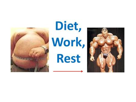 Diet, Work, Rest Learning Objectives Explain the importance of timing when you eat in competition Understand specific diets for specific sports Develop.