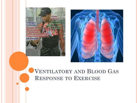 Ventilatory and Blood Gas Response to Exercise