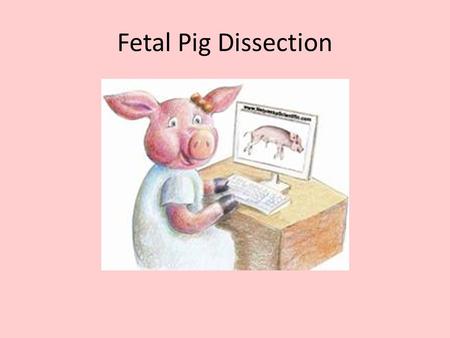 Fetal Pig Dissection.