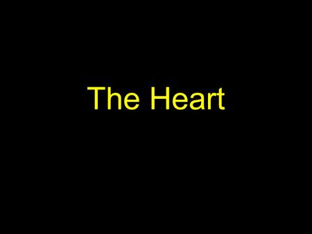 The Heart.