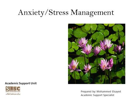 Anxiety/Stress Management