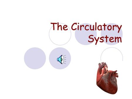 The Circulatory System