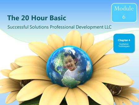 The 20 Hour Basic Successful Solutions Professional Development LLC Chapter 4 Guidance Techniques Module 6.