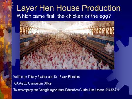 Layer Hen House Production