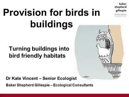 Provision for birds in buildings Turning buildings into bird friendly habitats Dr Kate Vincent – Senior Ecologist Baker Shepherd Gillespie – Ecological.