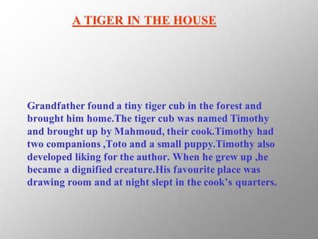 Grandfather found a tiny tiger cub in the forest and brought him home.The tiger cub was named Timothy and brought up by Mahmoud, their cook.Timothy had.