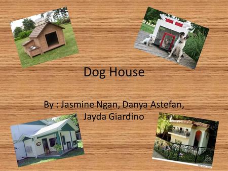 Dog House By : Jasmine Ngan, Danya Astefan, Jayda Giardino.