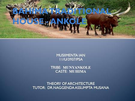 MUSIIMENTA IAN 11/U/3937/PSA TRIBE: MUNYANKOLE CASTE: MUHIMA THEORY OF ARCHITECTURE TUTOR: DR.NAGGENDA ASSUMPTA MUSANA.