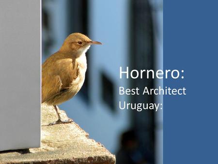 Hornero: Best Architect Uruguay: