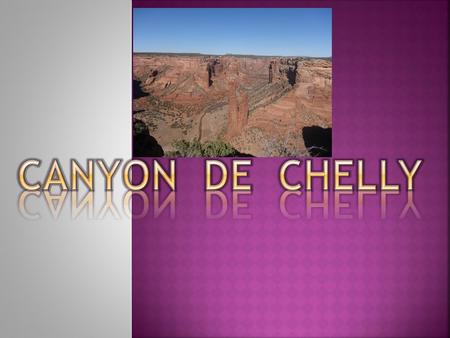 The Ancient Puebloans found the Canyons an Ideal place to plant crops and raise families.