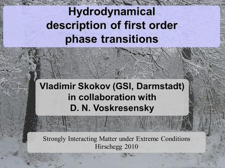 Hydrodynamical description of first order phase transitions Vladimir Skokov (GSI, Darmstadt) in collaboration with D. N. Voskresensky Strongly Interacting.