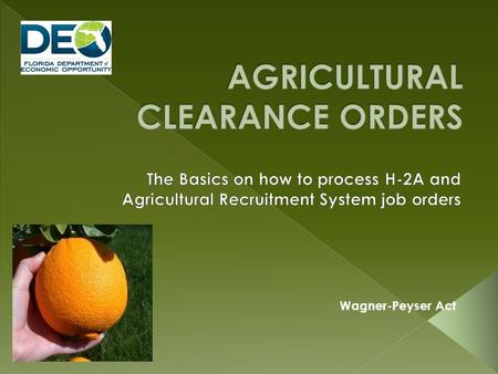 Wagner-Peyser Act. Background Steps in the Recruitment Process Referral Procedures Assurances New H-2A Regulations.