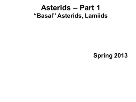 “Basal” Asterids, Lamiids