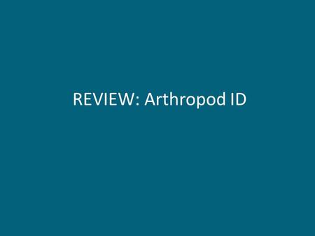 REVIEW: Arthropod ID. 1. Name the subphylum. 2. Name the subphylum. 3. Name the order.