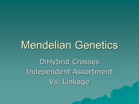 Mendelian Genetics DiHybrid Crosses Independent Assortment Vs. Linkage.