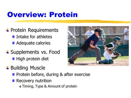 Overview: Protein Protein Requirements Intake for athletes Adequate calories Supplements vs. Food High protein diet Building Muscle Protein before, during.