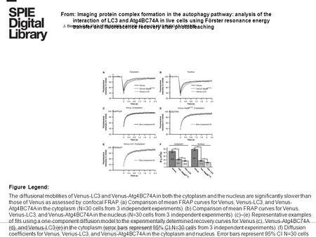 Date of download: 7/22/2016 Copyright © 2016 SPIE. All rights reserved. The diffusional mobilities of Venus-LC3 and Venus-Atg4BC74A in both the cytoplasm.