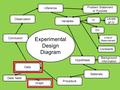 Observation Inference Variables Problem Statement or Purpose IV DV Levels of IV Units of Measurement Constants Hypothesis Materials Procedure Data Data.