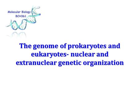 The genome of prokaryotes and eukaryotes- nuclear and extranuclear genetic organization.