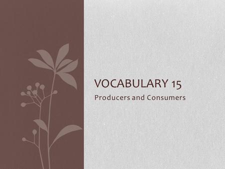 Producers and Consumers VOCABULARY 15. Living Thing A thing having life; in actual existence.