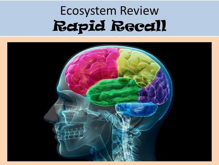 Ecosystem Review Rapid Recall. #1 Many overlapping food chains is called a __________?