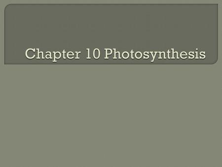 1. Compare and contrast heterotrophs to autotrophs. 2. Write the balanced chemical equation for photosynthesis. 3. Why is the leaf shaped and structured.