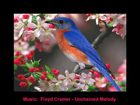 Music: Floyd Cramer - Unchained Melody AN ENEMY TAKES UP MORE SPACE IN OUR HEAD THAN A FRIEND IN OUR HEART.