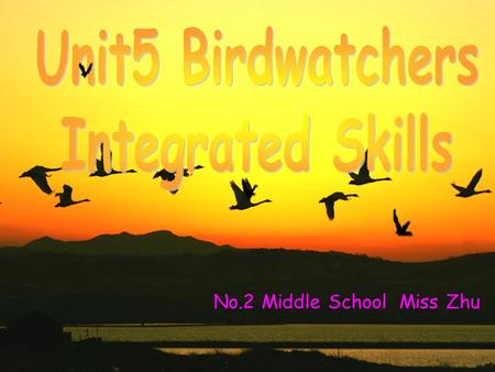 No.2 Middle School Miss Zhu. sing a song watch a bird show go to Zhalong complete the report write a report.