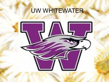 UW WHITEWATER. Basics ● Whitewater, Wisconsin ● 10,700 Total Students ● Not Very Expensive ● Top Business School ● 36 States/Countries.