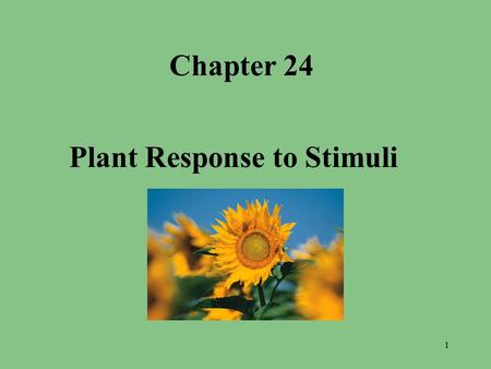 Chapter 24 Plant Response to Stimuli 1. Objectives – What you will need to know from this section 1. 1. Describe the organs used by plants to respond.