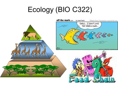 Ecology (BIO C322). Ecological Pyramids Pyramid of Numbers – upright or inverted??