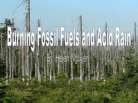 What are fossil fuels? Fossil fuels are naturally accruing fuels, these are usually extracted for energy purposes. Fossil fuels are formed when natural.