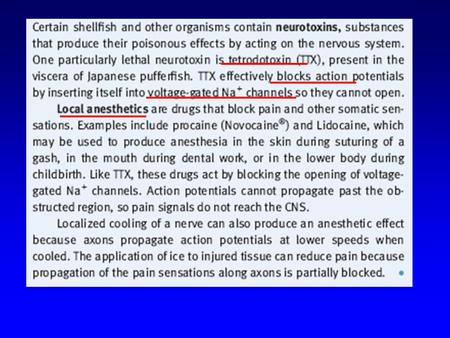 Direct motor pathway Corticospinal pathway.