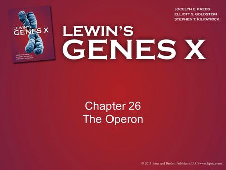 Chapter 26 The Operon. 26.1 Introduction coupled transcription/translation – The phenomena in bacteria where translation of the mRNA occurs simultaneously.