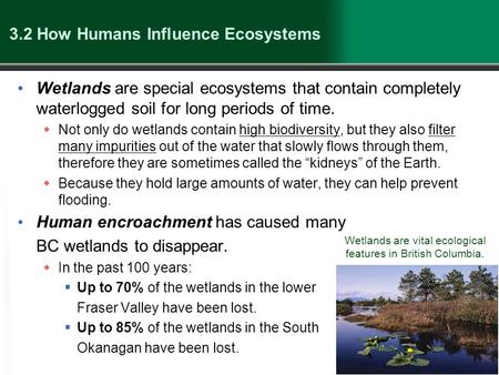 3.2 How Humans Influence Ecosystems Wetlands are special ecosystems that contain completely waterlogged soil for long periods of time.  Not only do wetlands.