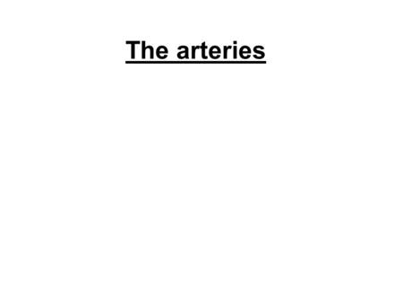 The arteries. Tunica intima Tunica media Tunica externa The artery: the structure of the wall.