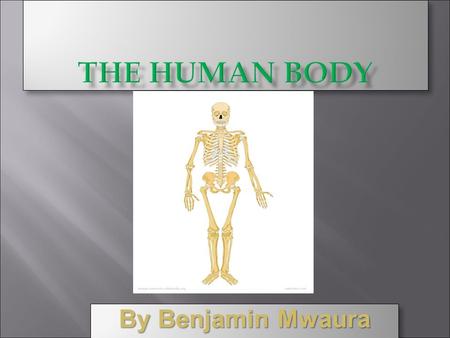 By Benjamin Mwaura This presentation will tell you about all the parts of the human body, referred as organs. This will also explain how these different.