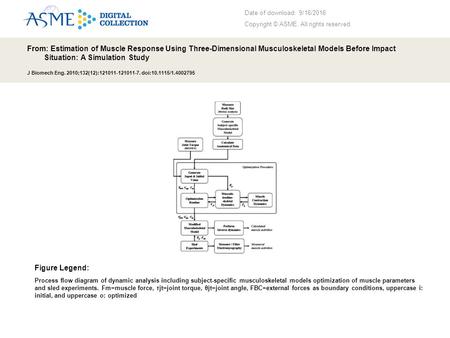 Date of download: 9/16/2016 Copyright © ASME. All rights reserved. From: Estimation of Muscle Response Using Three-Dimensional Musculoskeletal Models Before.