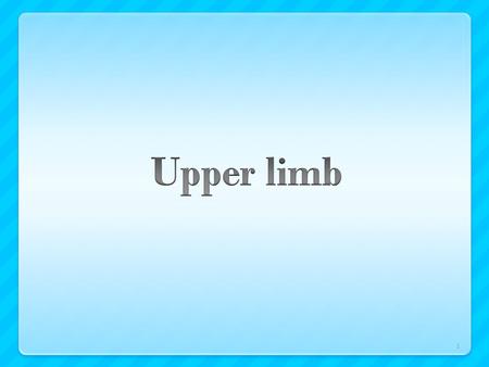 1. Freely movable on trunk at shoulder joint Consists of:  Shoulder,  arm,  elbow,  forearm,  wrist and hand 2.