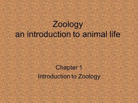 Zoology an introduction to animal life Chapter 1 Introduction to Zoology.