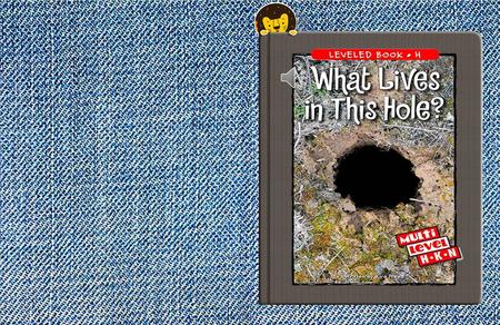 What Lives in This Hole? Written by Kira Freed.