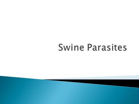 Introduction: Most parasitic infections of swine will be diagnosed by finding the adult or larval parasites or the lesions they produce while performing.