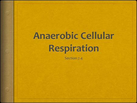 Anaerobic Cellular Respiration  Anaerobic = without oxygen.