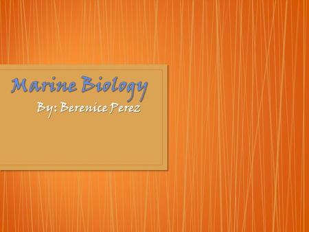 By: Berenice Perez. Marine Biologist : ※ Marine biology is a very large field. ※ Considering that the world is covered by more than 70% of water, Marine.